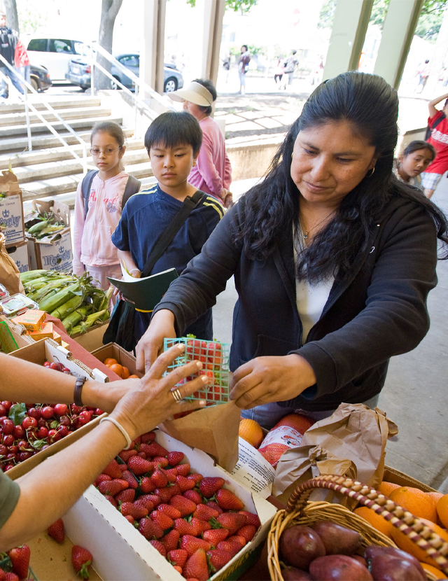 Image for School Farm Stands Support Healthier Eating 