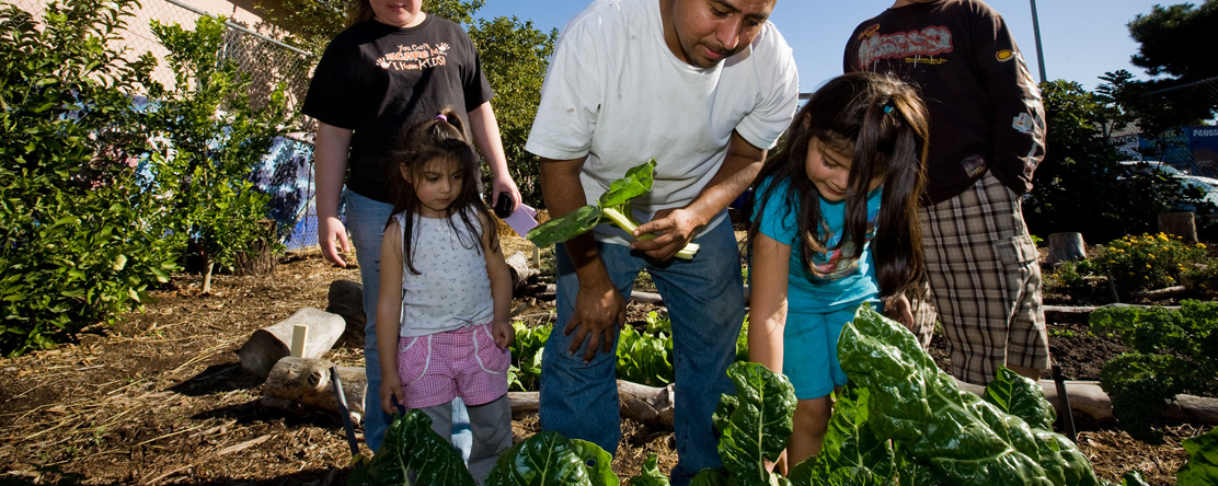 An image for From Farm to Every Fork: Rewriting the Narrative on Urban Agriculture in Sacramento
