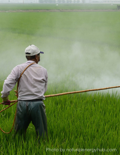 Image for Tracking Pesticide Use Near Schools 