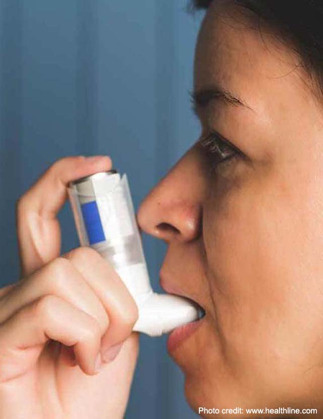 Image for Boosting National Leadership Capacity to Act on Asthma