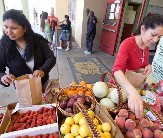two women at farmers market buying fruit