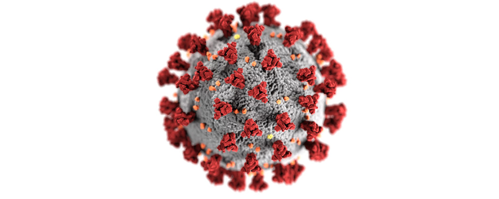 image: COVID-19 virus
