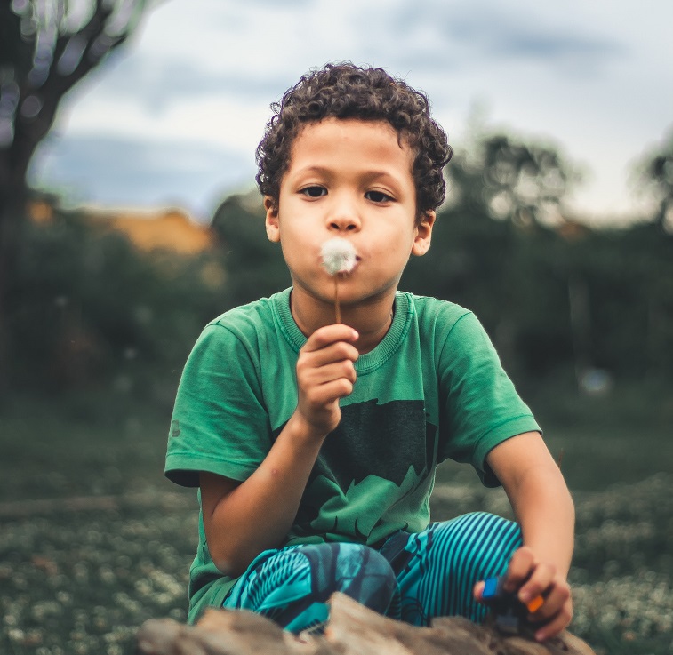 Boy blowing on a dandelion