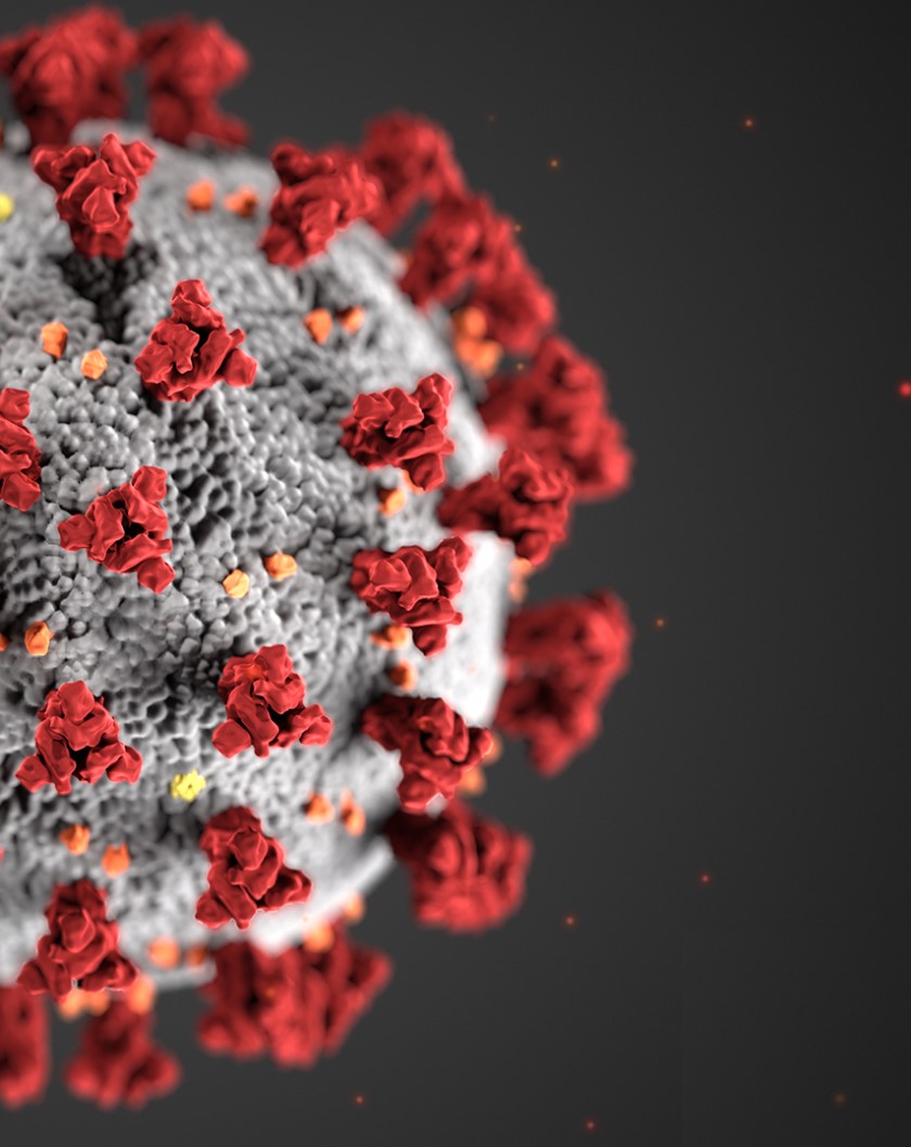 image of coronavirus