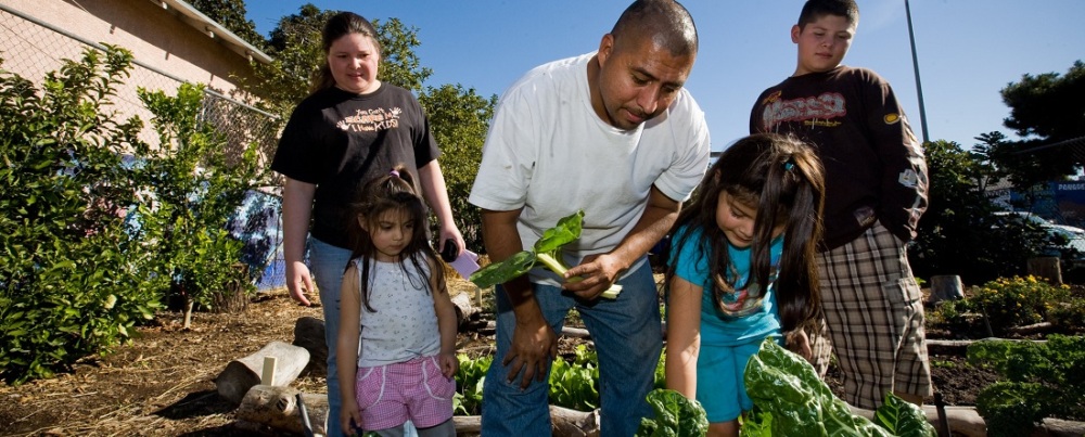 Family farming in community garden