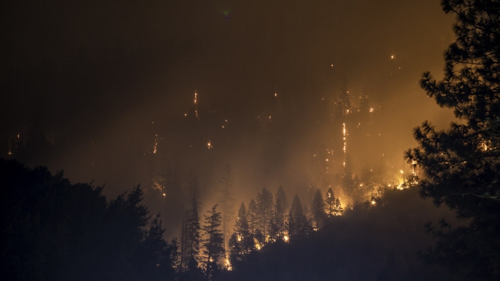 a smoky wildfire on a tree-lined hillside