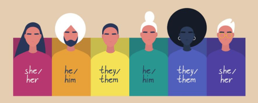 a colorful drawing of diverse people with their pronouns