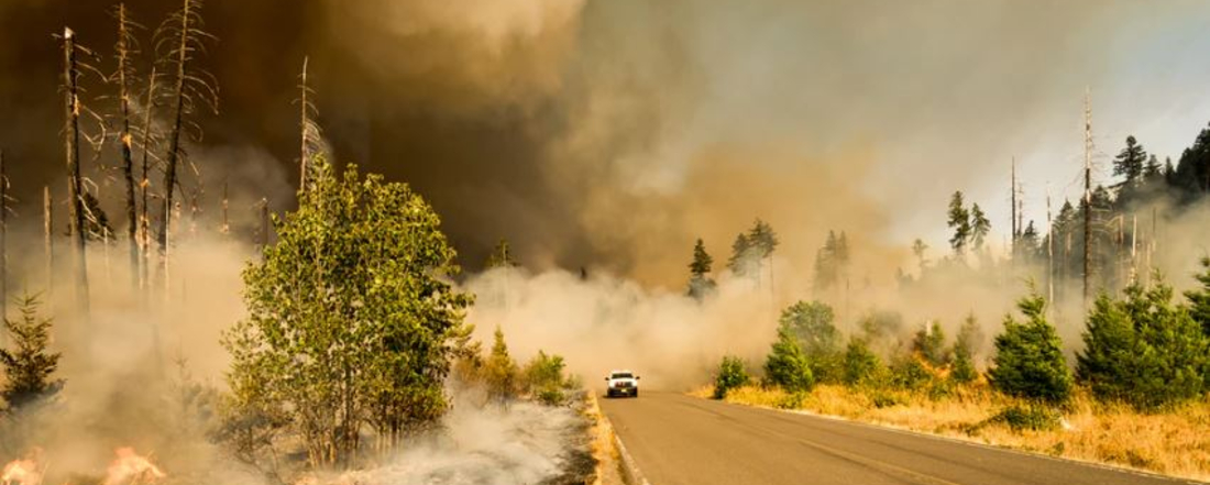 a car driving down a rural road surrounded by wildfire smoke
