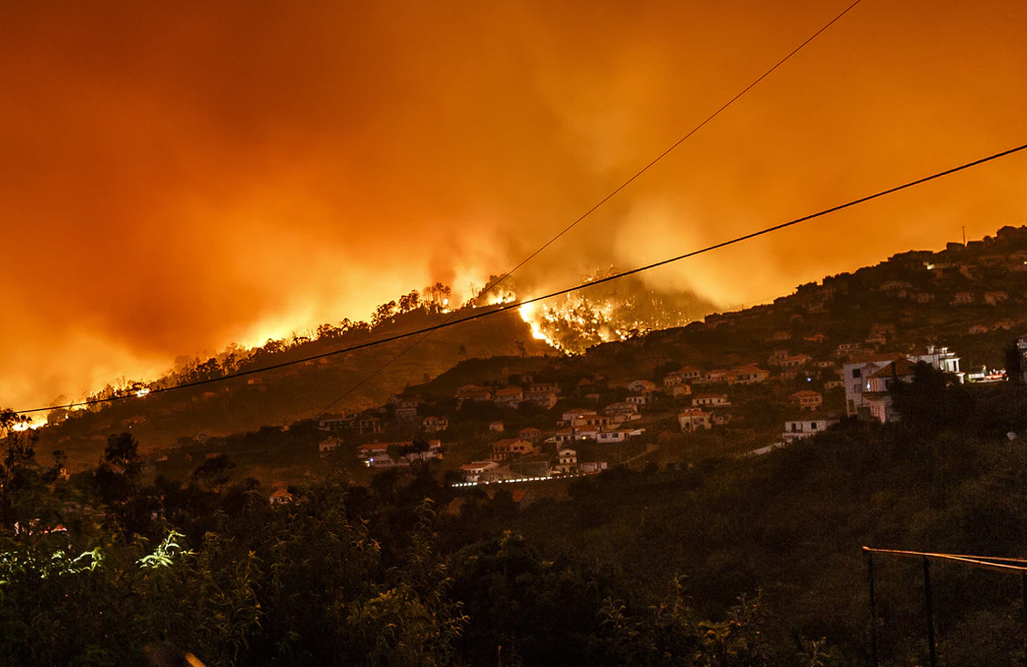Fire on hill near homes