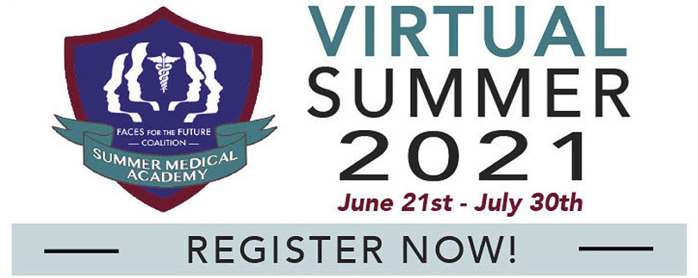 FACES Virtual Summer
