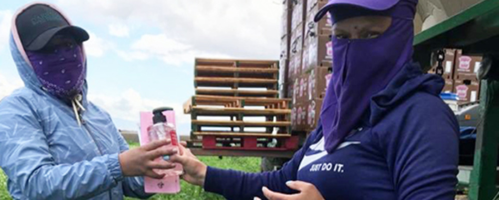 CBO worker giving antibacterial to farmworker in mask