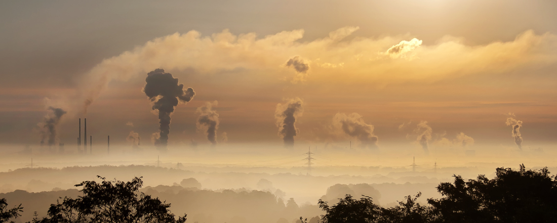 a foreground of treetops with a hazy, polluted yellow-sky background