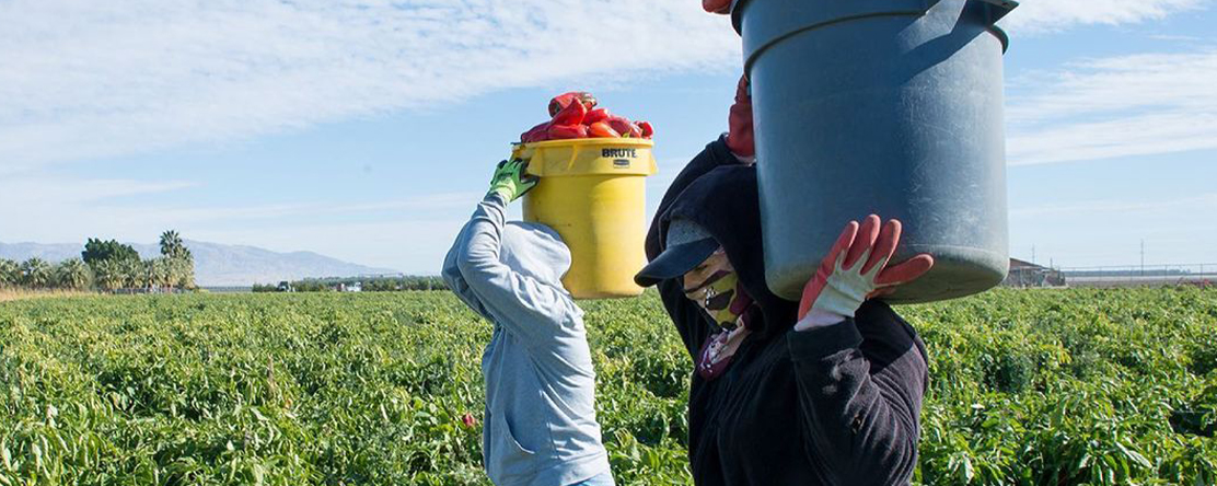 two essential farmworkers