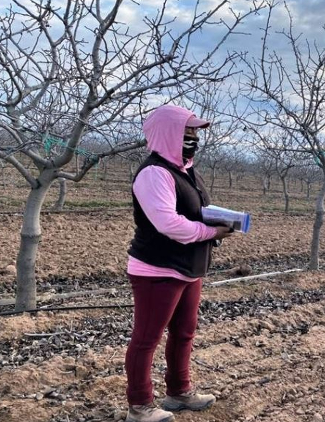 a woman farmworker in an orchard in winter receiving COVID information