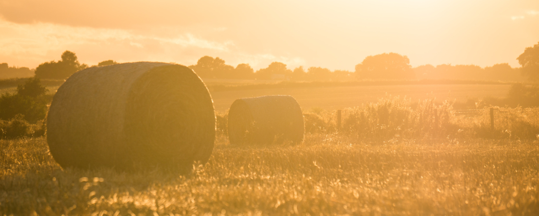 hay bails on a farm on a hazy day