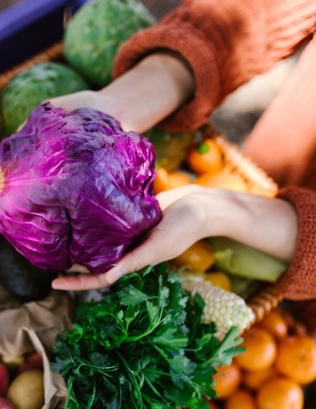 hands holding a purple cabbage above a display of vegetables