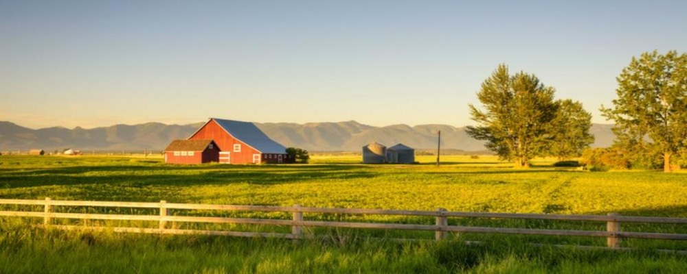 Rural Farm