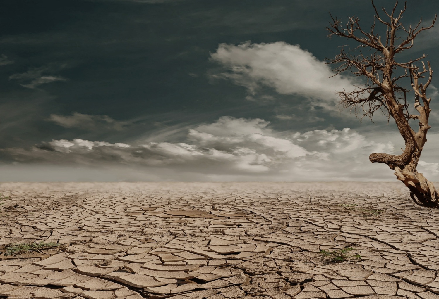 dried up area due to climate change