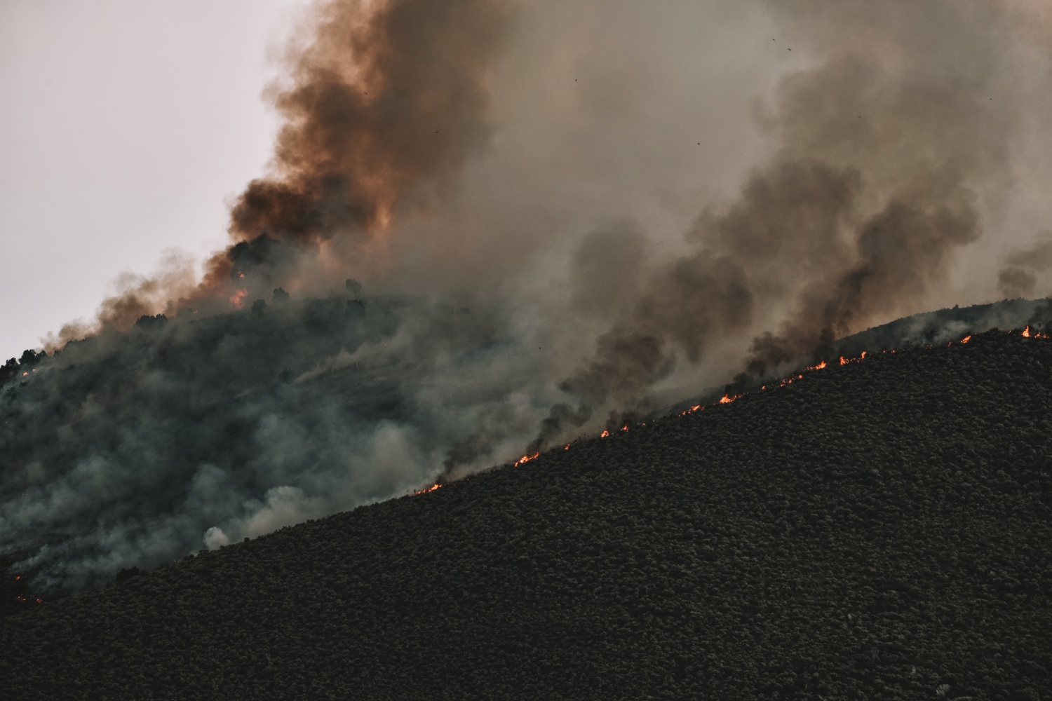 smoke from wildfire