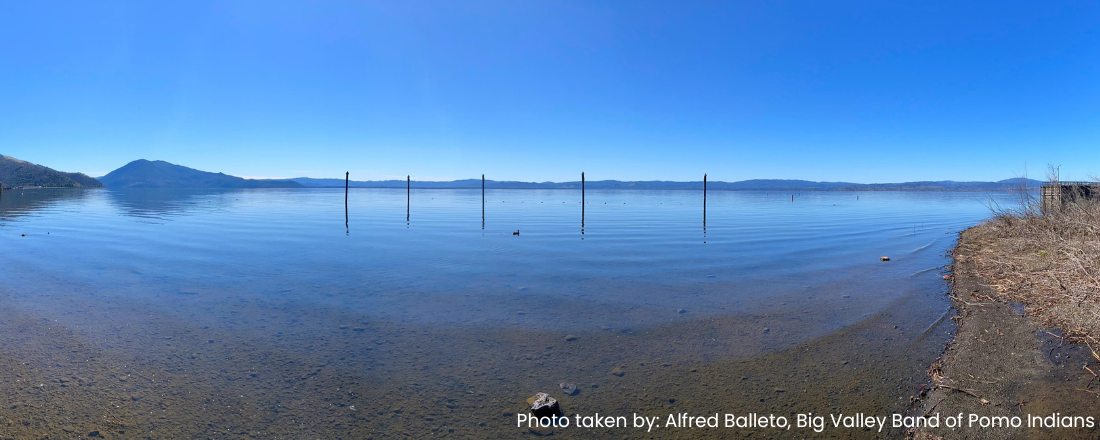 picture of algal blooms in Clear Lake