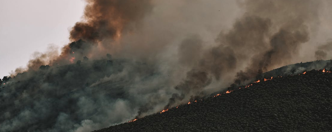 wildfire on hill