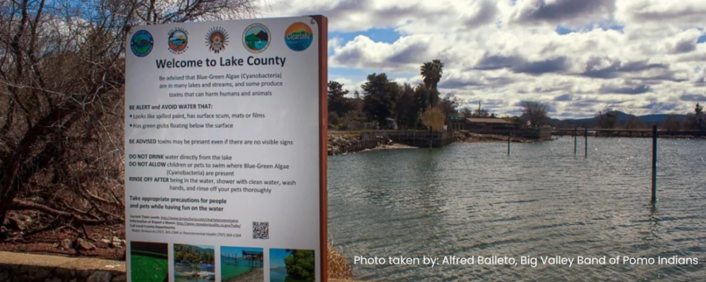 warning sign about blue-green algae in lake county, ca