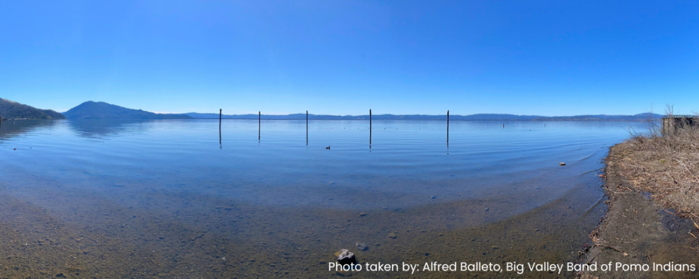 Picture of algal blooms in Lake County, CA