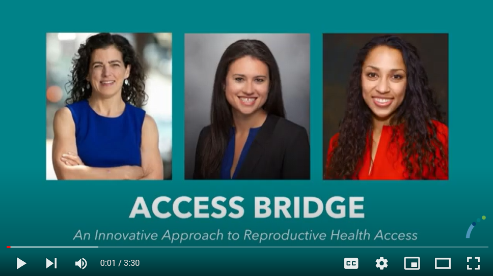 Screenshot: Access Bridge intro video