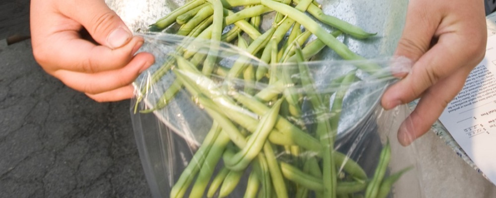 community member weighing green beans