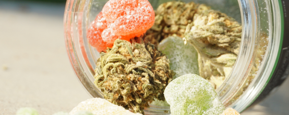 edible cannabis gummies in a jar