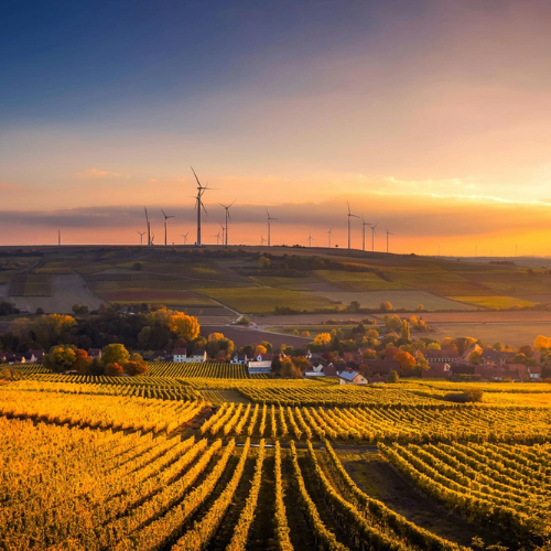 farmland and turbines on a hill near the sunset