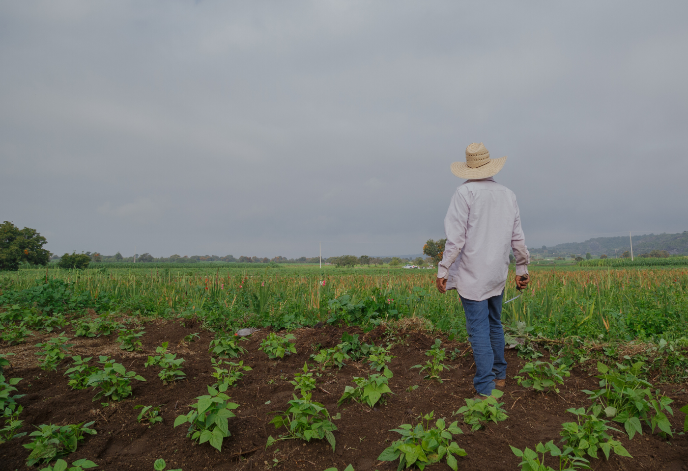 Farmworker in a field with smoggy clouds in the background