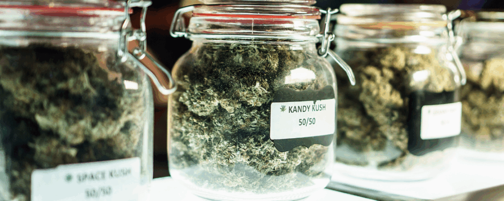 cannabis in jars