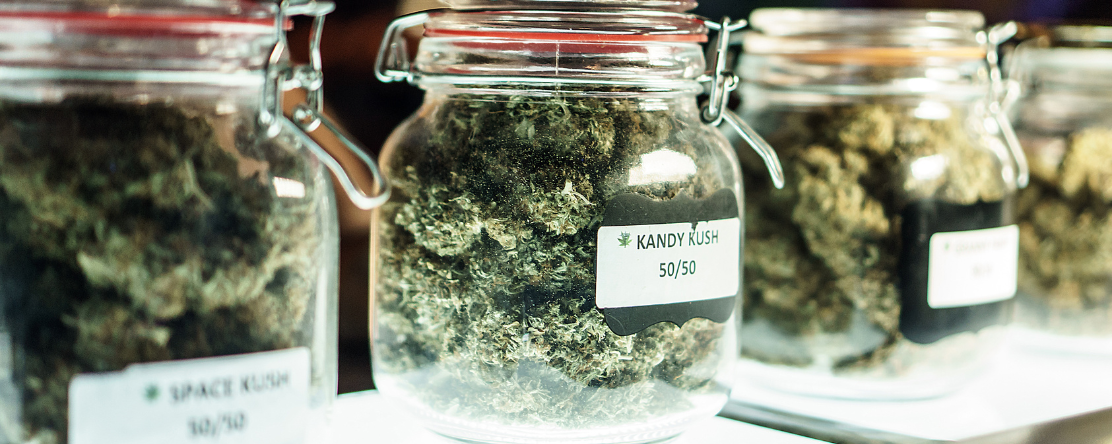 Mercury News: PHI’s Lynn Silver Discusses How the Cannabis Industry Has Falsely Marketed Cannabis as a Wellness Product