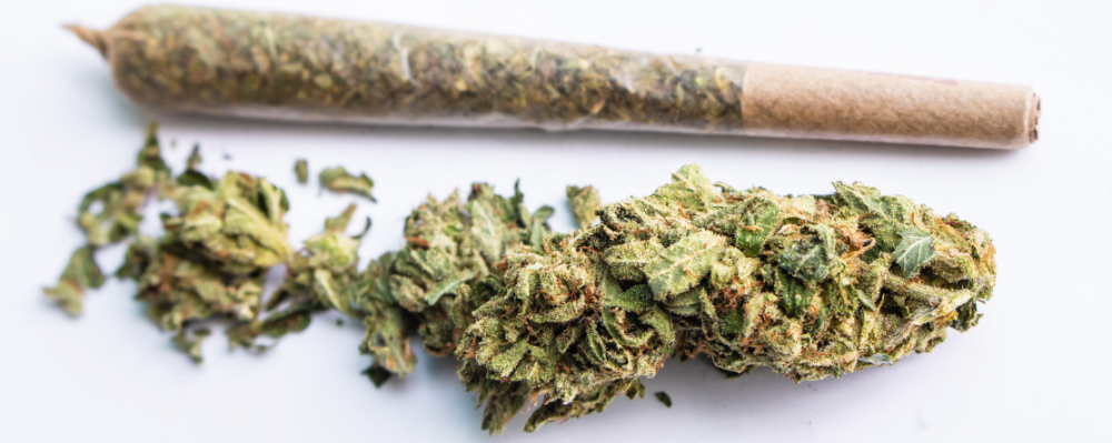 dried cannabis flower and rolled joint
