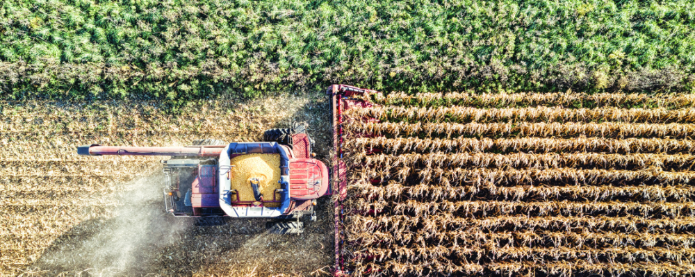 a tractor on a large farm is picking up crops
