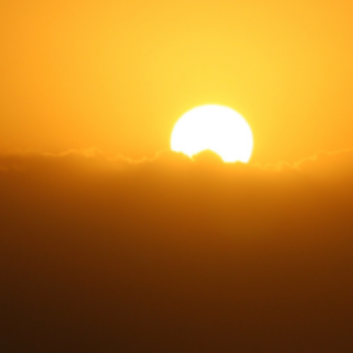 sun hangs in a yellow sky